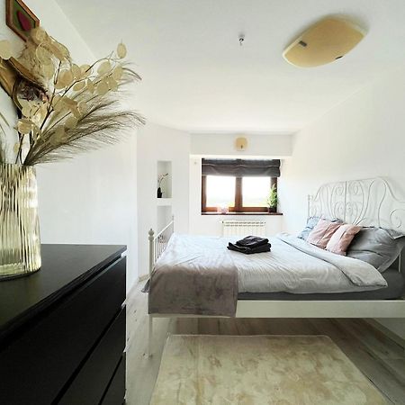 City Center Privat-Sauna Familyconcept Iasi Extérieur photo