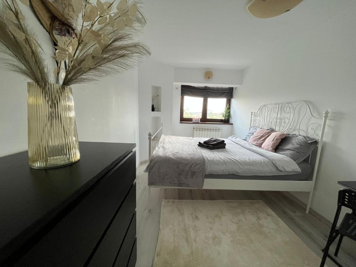 City Center Privat-Sauna Familyconcept Iasi Extérieur photo
