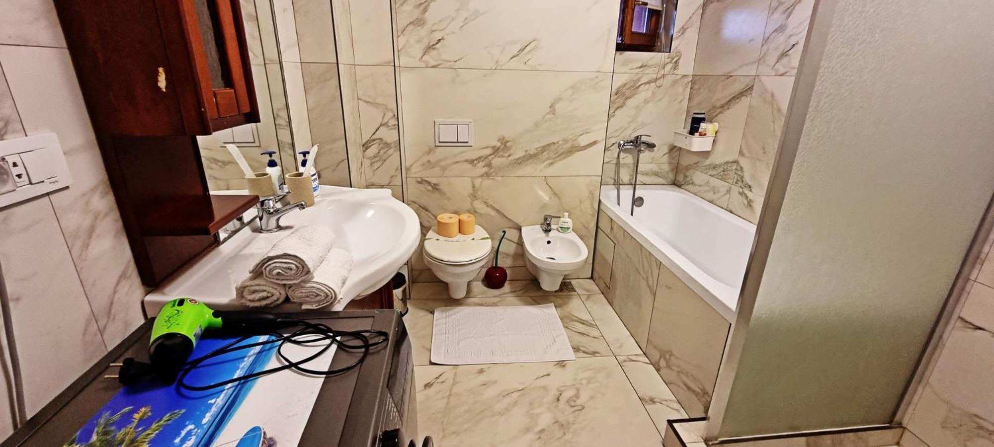City Center Privat-Sauna Familyconcept Iasi Extérieur photo